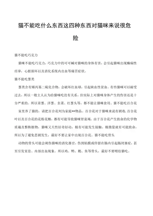 猫不能吃什么东西 这四种东西对猫咪来说很危险