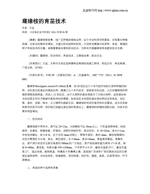 窿缘桉的育苗技术
