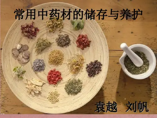 中药材储存与养护