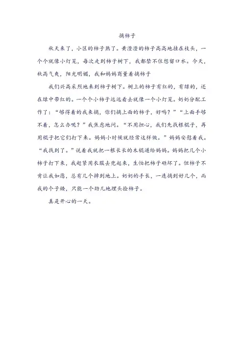 摘柿子的作文200字