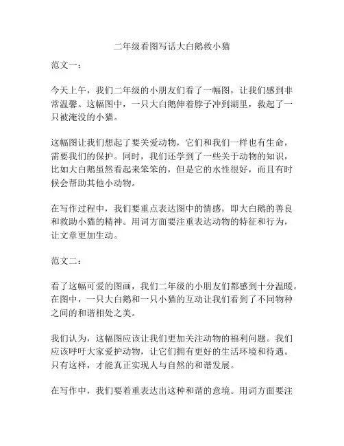 二年级看图写话大白鹅救小猫