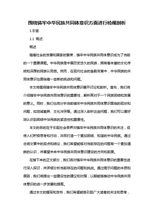 围绕铸牢中华民族共同体意识方面进行检视剖析