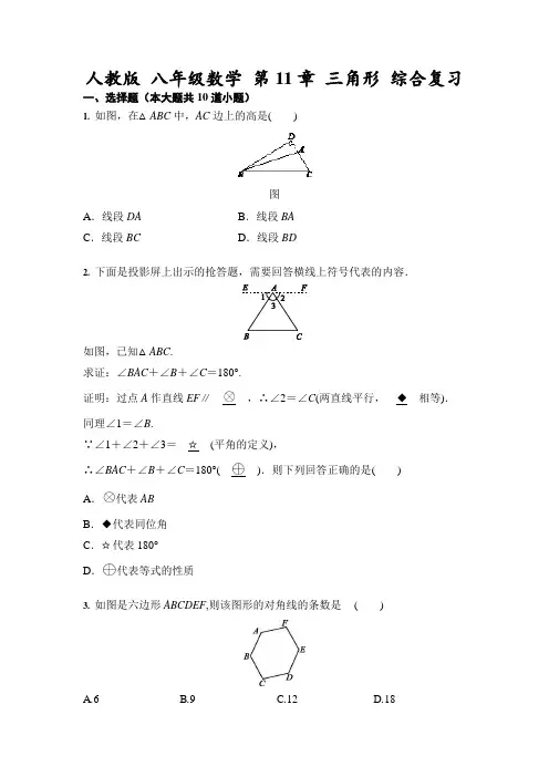 人教版 八年级上册数学 第11章 三角形 综合复习(含答案)