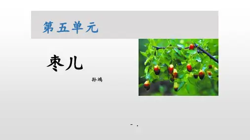 《枣儿》PPT课文课件