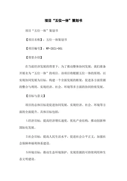 项目“五位一体”策划书