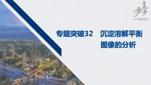 2021届高中化学高三步步高一轮复习资料第八章 专题突破32