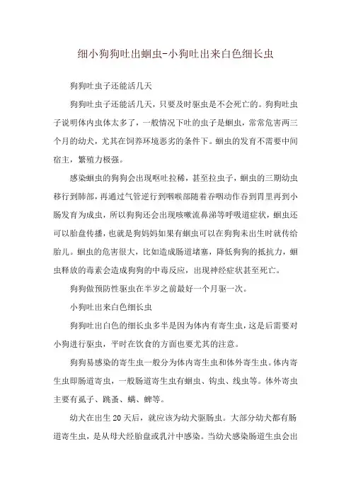 细小狗狗吐出蛔虫-小狗吐出来白色细长虫