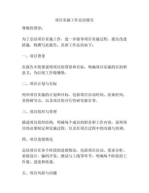 项目实施工作总结报告