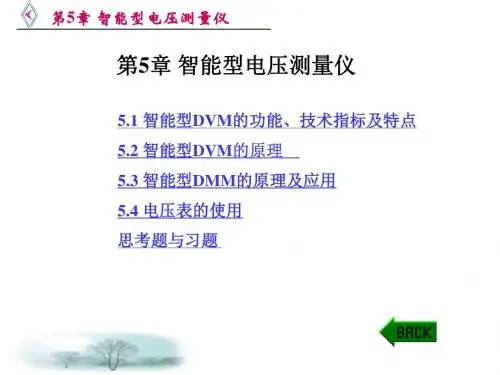 智能型电压测量仪