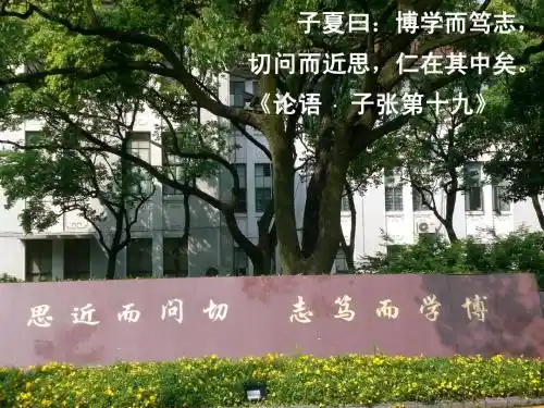 1 力学的基本概念