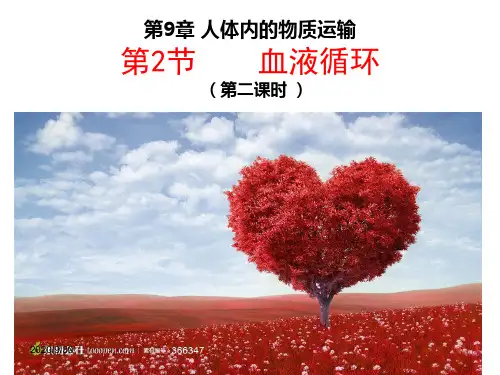 北师大版生物七年级下册9章2节血液循环二课时精品课件