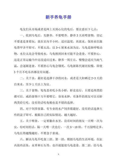 新手养龟手册