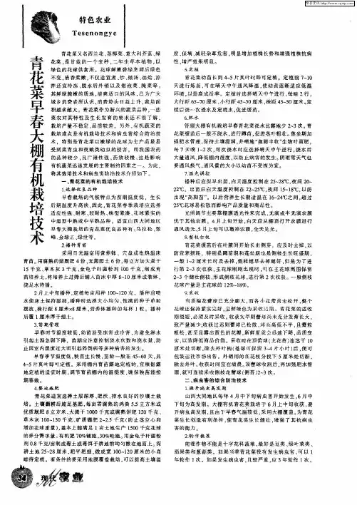 青花菜早春大棚有机栽培技术