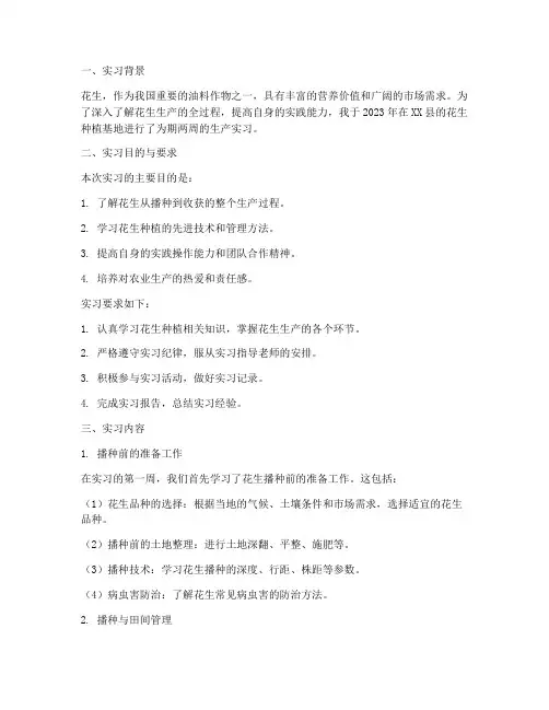 花生生产实习报告