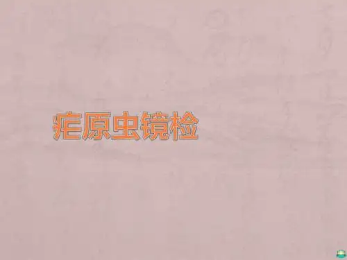 疟原虫镜检PPT课件
