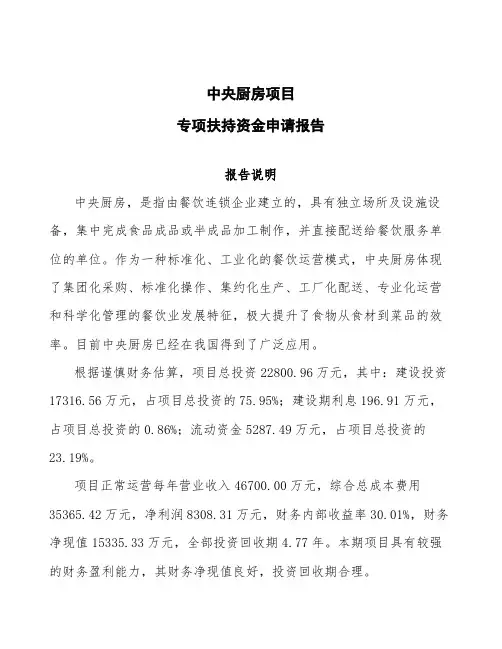 中央厨房项目专项扶持资金申请报告