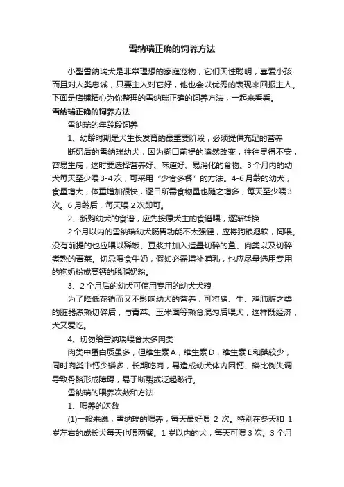 雪纳瑞正确的饲养方法