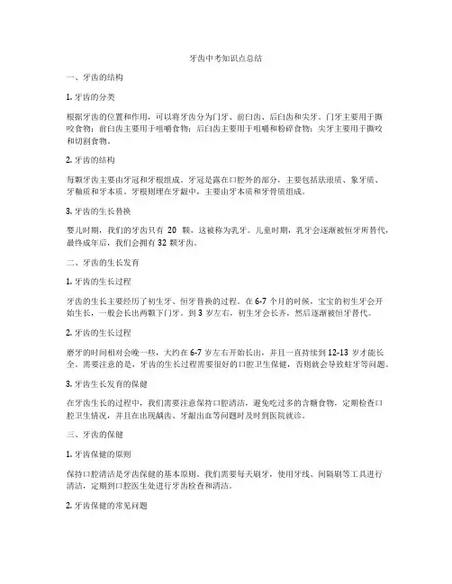 牙齿中考知识点总结