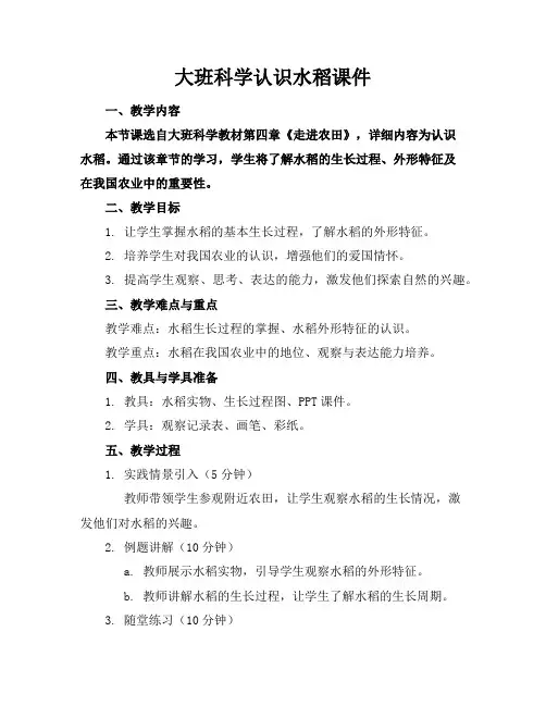 大班科学认识水稻课件