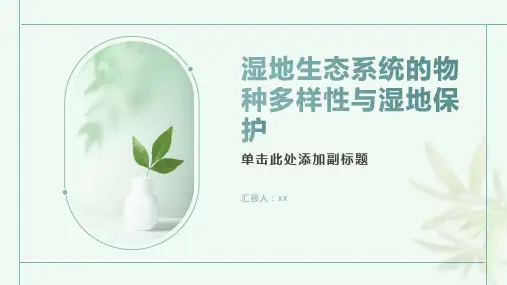湿地生态系统的物种多样性与湿地保护
