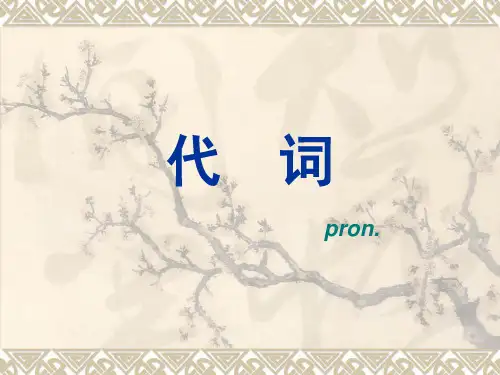 英语代词总结