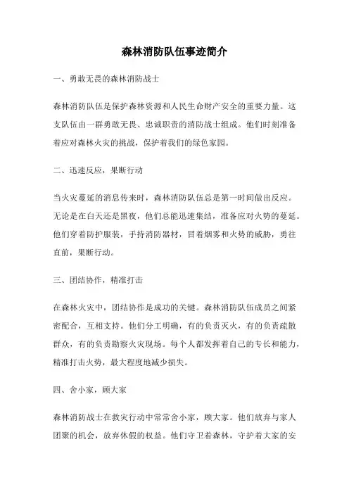 森林消防队伍事迹简介