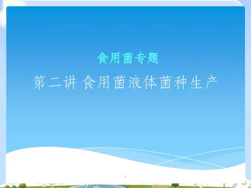 食用菌液体菌种生产