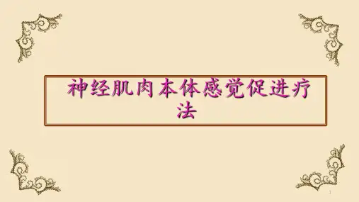 神经肌肉本体感觉促进疗法