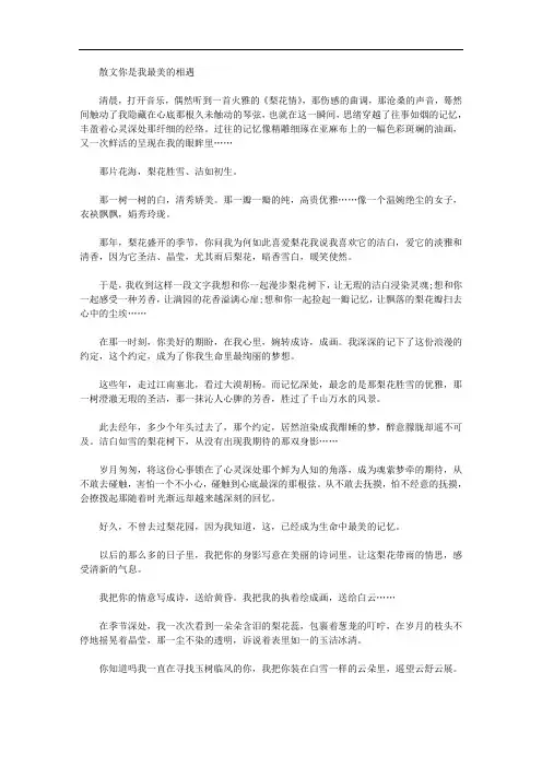 散文：你是我最美的相遇