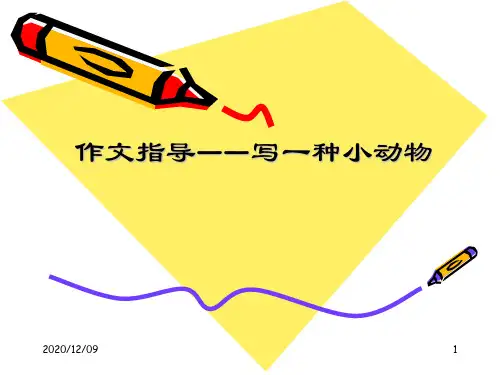 作文指导——写一种小动物PPT教学课件