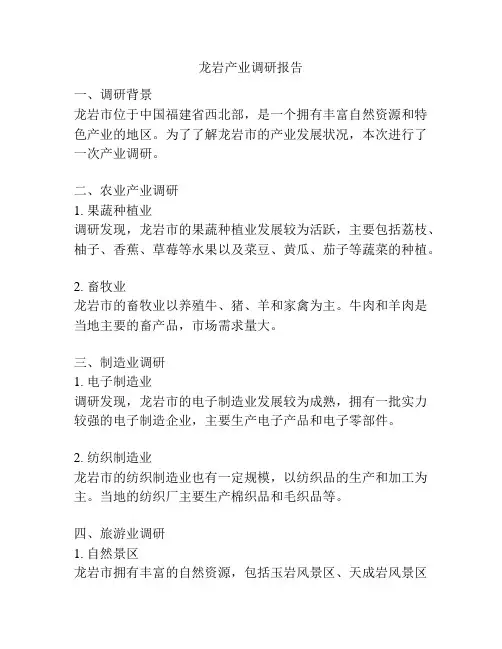 龙岩产业调研报告