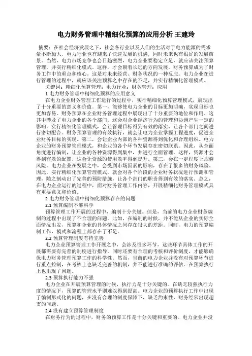电力财务管理中精细化预算的应用分析 王建玲
