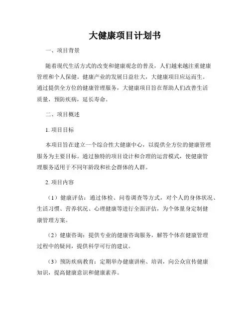 大健康项目计划书