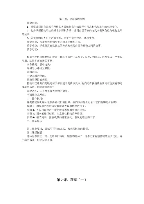苏少版美术六上第十一册全册教案