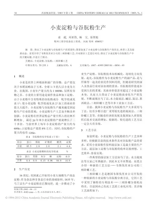 小麦淀粉与谷朊粉生产_袁超