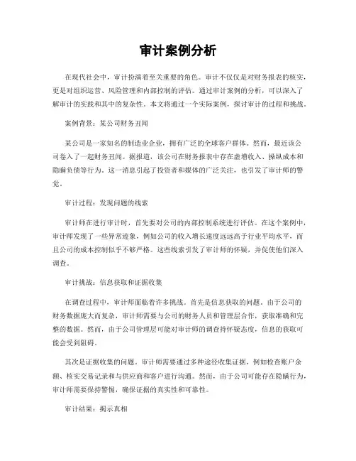 审计案例分析