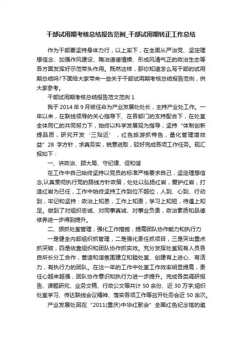 干部试用期考核总结报告范例_干部试用期转正工作总结