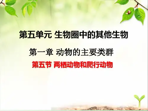 初中生物八下《1.5第五节 两栖动物和爬行动物》优质课件(两套)