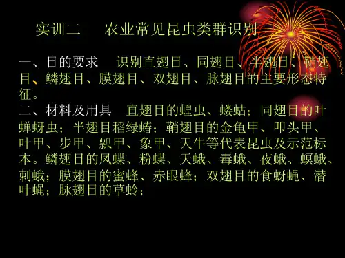 实训二 农业常见昆虫类群识别一、目的要求 识别直翅目、同翅目.
