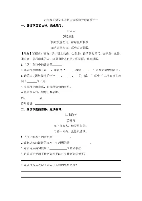 人教部编版小学语文古诗词阅读理解专项练习(十一)(含答案)