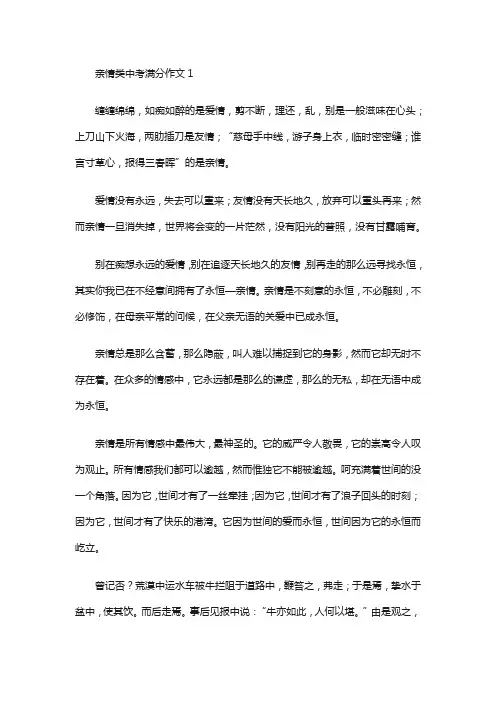 亲情类中考满分作文13篇