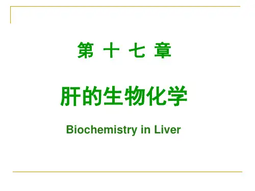 17. 肝的生物化学