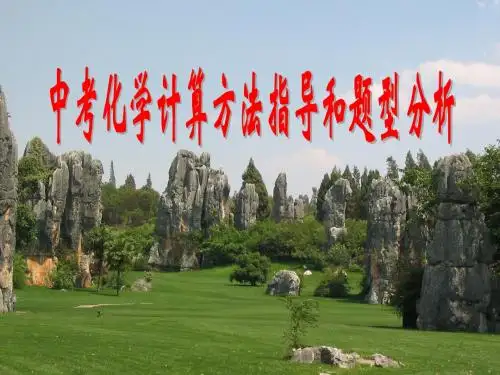 化学计算四(方法指导和题型分析)