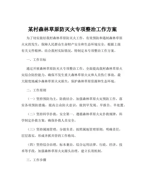 某村森林草原防灭火专项整治工作方案