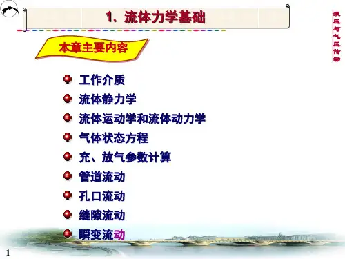流体力学基础