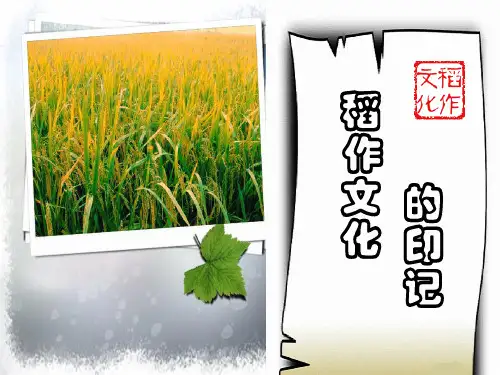 人教七年级历史与社会上册3.1.1稻作文化的印记(共16张PPT)
