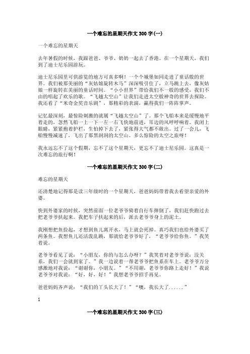 一个难忘的星期天作文300字