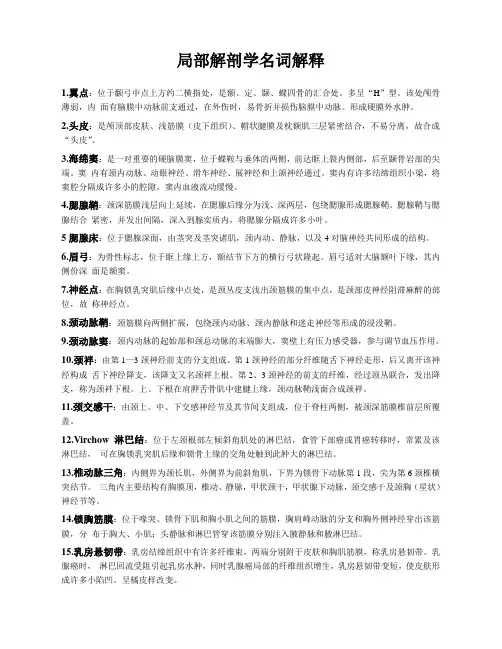局部解剖学名词解释