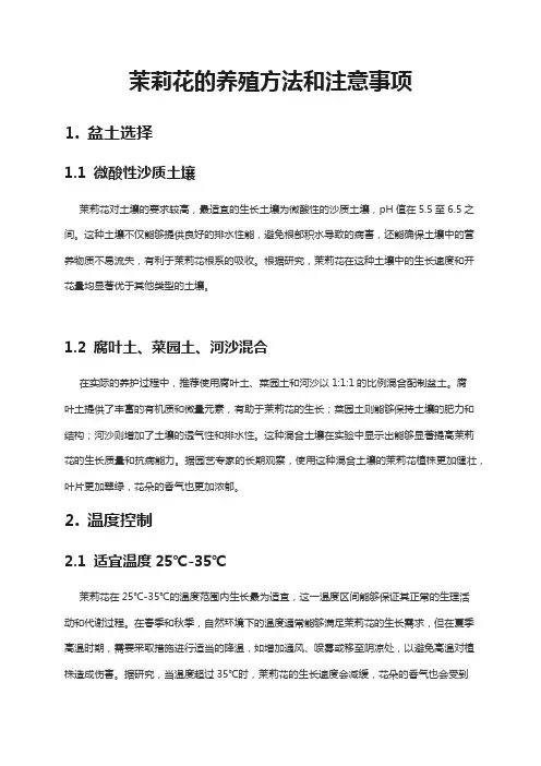 茉莉花的养殖方法和注意事项
