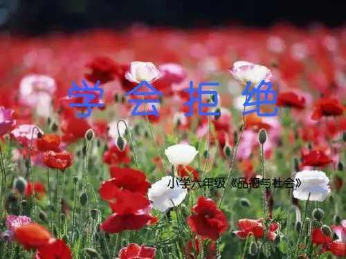人教新课标品德与社会六年级上册《学会拒绝》优秀课件